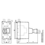 Купить 3RV1913-7E (3RV19137E) АВАРИЙНАЯ РУКОЯТКА, С ЗАМКОМ, БЛОКИРУЮЩАЯСЯ, ДЕБЛОКИРОВКА КЛЮЧОМ, ДЛЯ 3RV1913 КОРПУСОВ