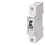 Купить 5SX2106-6 (5SX21066, 5SX21O6-6, 5SX21O66) 5SX21066 SIEMENS 6kA,глуб.55мм/ 1-п/ток 6А 5SX21066
