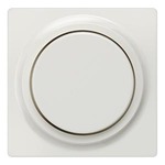 5TC8900 (5TC89OO) DELTA I-SYSTEM ТИТАНОВО-БЕЛЫЙ ЦЕНТРАЛЬНЫЙ ЭЛЕМЕНТ ДИЗАЙНА ДЛЯ ДИММЕРА С ПОВОРОТНОЙ КНОПКОЙ 55X55MM