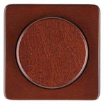 Купить 5TC8916 DELTA NATUR КРАСНЫЙ КЛЕН ЦЕНТРАЛЬНЫЙ ЭЛЕМЕНТ ДИЗАЙНА ДЛЯ ДИММЕРА С ПОВОРОТНОЙ КНОПКОЙ 62X62MM