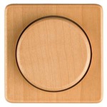 Купить 5TC8918 DELTA NATUR БУК ЦЕНТРАЛЬНЫЙ ЭЛЕМЕНТ ДИЗАЙНА ДЛЯ ДИММЕРА С ПОВОРОТНОЙ КНОПКОЙ 62X62MM