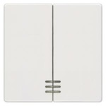 Купить 5TG6204 (5TG62O4) DELTA I-SYSTEM ТИТАНОВО-БЕЛЫЙ ВЫКЛЮЧАТЕЛЬ 2 КЛАВИШИ С ОКНОМ 55X55MM