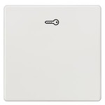 Купить 5TG6208 (5TG62O8) DELTA I-SYSTEM ТИТАНОВО-БЕЛЫЙ ВЫКЛЮЧАТЕЛЬ 1 КЛАВИША С СИМВОЛОМ КЛЮЧ 55X55MM