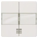 Купить 5TG6213 DELTA I-SYSTEM ТИТАНОВО-БЕЛЫЙ ВЫКЛЮЧАТЕЛЬ 2 КЛАВИШИ С ОКНОМ И ПОЛЕМ ДЛЯ НАДПИСИ 55X55MM