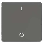 Купить 5TG6222 DELTA I-SYSTEM ЧЕРНЫЙ МЕТАЛЛИК ВЫКЛЮЧАТЕЛЬ 1 КЛАВИША С O/I СИМВОЛАМИ 55X55MM