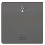 Купить 5TG6226 DELTA I-SYSTEM ЧЕРНЫЙ МЕТАЛЛИК ВЫКЛЮЧАТЕЛЬ 1 КЛАВИША С ОКНОМ И СИМВОЛОМ СВЕТ 55X55MM