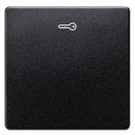 Купить 5TG6228 DELTA I-SYSTEM ЧЕРНЫЙ МЕТАЛЛИК ВЫКЛЮЧАТЕЛЬ 1 КЛАВИША С СИМВОЛОМ КЛЮЧ 55X55MM