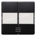Купить 5TG6233 DELTA I-SYSTEM ЧЕРНЫЙ МЕТАЛЛИК ВЫКЛЮЧАТЕЛЬ 2 КЛАВИШИ С ОКНОМ И ПОЛЕМ ДЛЯ НАДПИСИ 55X55MM