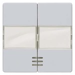 Купить 5TG6253 DELTA I-SYSTEM АЛЮМИНЕВЫЙ МЕТАЛЛИК ВЫКЛЮЧАТЕЛЬ 2 КЛАВИШИ С ОКНОМ И ПОЛЕМ ДЛЯ НАДПИСИ 55X55MM