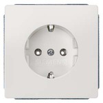 5UB1853 DELTA STYLE ТИТАНОВО-БЕЛЫЙ РОЗЕТКА SCHUKO 10A DC/16А AC250В ЭЛ.-МЕХАНИЧ. ЧАСТЬ